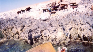 Ο Πάγκαλος, ο βοσκός των Ιμίων και τα μυστικά κονδύλια του Υπουργείου των Εξωτερικών