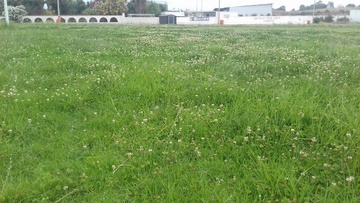 Αναγεννιέται το Στάδιο «Φιλίνος» στην Κω με 970.000€