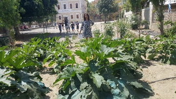 Ο... κρυφός λαχανόκηπος  της Αστικής Σχολής Ρόδου