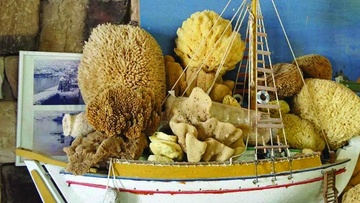 Natural Sea Sponges harmless and friendly to the skin