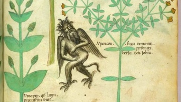 Μεσαιωνολόγιο: «Τα βότανα της μαύρης  μαγείας και τα αντίδοτά τους»