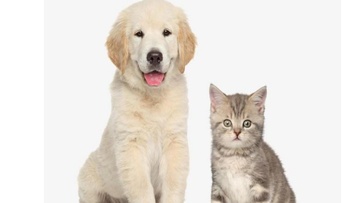 Εγχειρίδιο για τα ζώα συντροφιάς από τον Δήμο 