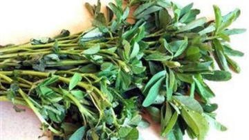 Το φυτό που μειώνει σάκχαρο και βάρος