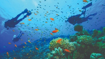 Underwater diving experience in Rhodes