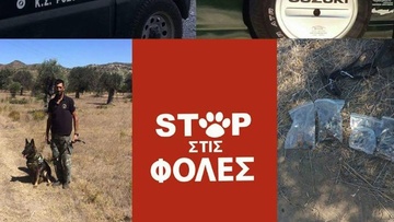 Εντοπίστηκαν φόλες με δηλητήριο στην περιοχή της Κατταβιάς