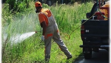 Ξεκινούν οι ψεκασμοί για  την καταπολέμηση των κουνουπιών