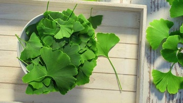 Πώς να αποτρέψεις τη γήρανση του εγκεφάλου