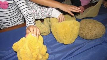 “Οι Σφουγγαράδες της Καλύμνου” στο Ναυτικό Μουσείο της Ελλάδος