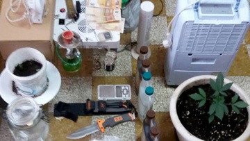 “Εργαστήριο” παραγωγής  κάνναβης στην Πάτμο