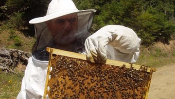 Έρευνα για τη μελισσοκομία στα Δωδεκάνησα