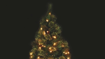 Χριστουγεννιάτικο δέντρο στα Μαριτσά