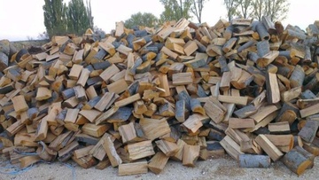 Εκδόθηκε απόφαση για τη συλλογή ξύλων από τα δάση της Δωδεκανήσου