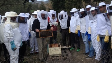 Σεμινάριο μελισσοκομίας για αρχάριους στη Ρόδο
