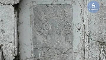 Mια... ζούγκλα στους Τρεις