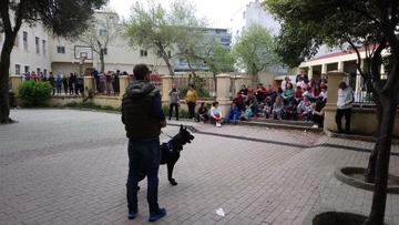 Ο αστυνομικός σκύλος «Schwartz» επισκέφτηκε τους μαθητές του Πρότυπου  Ειδικού Πειραματικού Δημοτικού Σχολείου Ρόδου