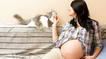 Τοξόπλασμα και εγκυμοσύνη