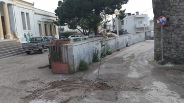 Ρόδος: Φύτεψαν ελιές στις  λακκούβες των δρόμων