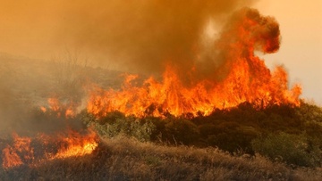 Συνεδριάζει το συντονιστικό για τις δασικές πυρκαγιές