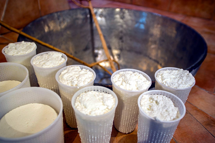Προμηθευτείτε τη χλωρή, το λευκό μαλακό τυρί που τρώγεται φρέσκο. (Φωτογραφία: ΚΛΑΙΡΗ ΜΟΥΣΤΑΦΕΛΛΟΥ)