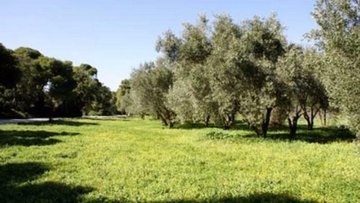 Συνεδριάζει εκτάκτως η Οικονομική Επιτροπή της περιφέρειας 