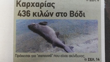 Ο ψαράς που εντόπισε το καρχαριοειδές στη Ρόδο