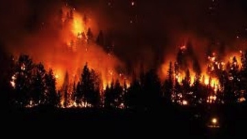 Καταπολέμηση δασικών πυρκαγιών στην Ευρώπη