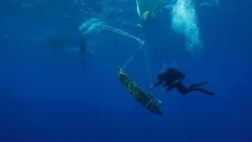 Δωδεκάνησα: Πέντε σημαντικά ναυάγια ανακαλύφθηκαν στη νήσο Λέβιθα