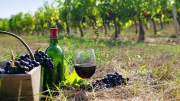 Στις 24 Αυγούστου  η γιορτή Κρασιού στον Έμπωνα