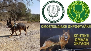 Συνεχίζουν να «σπέρνουν» θάνατο με φόλες στο νησί της Ρόδου