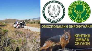 Συνεχίζεται η... φονική «σπορά»  δολωμάτων στη Ρόδο – Βρέθηκε νεκρή αλεπού