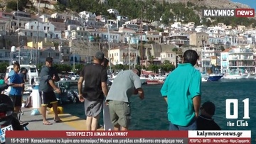 Γέμισε το λιμάνι της Καλύμνου από τσιπούρες!
