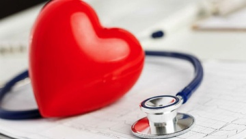 «Αναζητώντας τα Μυστικά της Καρδιάς»: Η φυσιολογική καρδιά