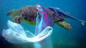Καταργούνται τα πλαστικά μίας χρήσης από τον Ιούνιο του 2020