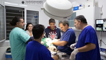 Χειρουργήθηκε η τραυματισμένη χελώνα στη Ρόδο