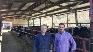 Το πάρκο με αγελάδες των αδελφών Θυριάκη, που είναι στολίδι για τη Ρόδο!