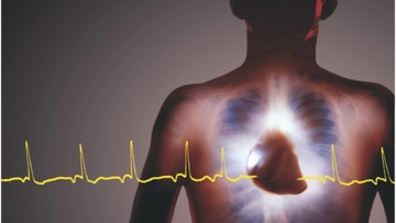 Αναζητώντας τα μυστικά της Καρδιάς: Μετά το έμφραγμα