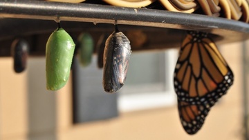 Όχι, ο Απρίλιος δεν θα είναι καλός μήνας. Ίσως μάλιστα να είναι ο χειρότερος του 2020 