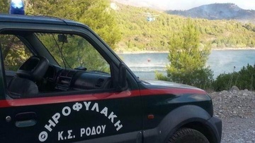 Η Θηροφυλακή Ρόδου «τσάκωσε» κυνηγό στις Καλυθιές για παράνομη θήρευση λαγού