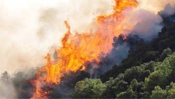 Σχέδια αντιμετώπισης σεισμών και δασικών πυρκαγιών