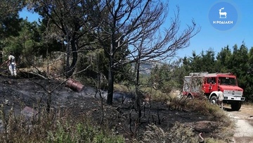 Σε αυτές τις πυρκαγιές σταθήκαμε τυχεροί στη Ρόδο, στις επόμενες όμως…;