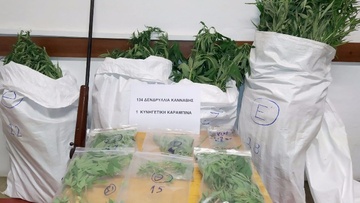 Ελεύθερος με όρους αφέθηκε ο 59χρονος για τα 134 χασισόδεντρα