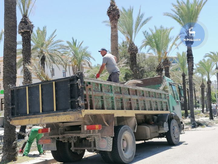 ...Αγνώριστη θα γίνει η πλατεία των «Εκατό Χουρμαδιών»...