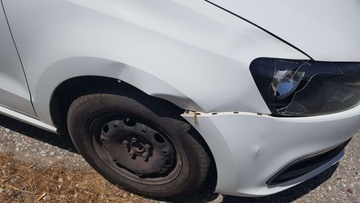 Τεράστιοι οι κίνδυνοι κι οι ζημιές σε αυτοκίνητα από αδέσποτα ζώα στους δρόμους της Ρόδου 