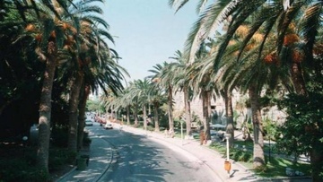 «Ο κόκκινος ιβίσκος»  ξαναζεί στην Κω