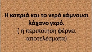 Ροδίτικο γλωσσάρι: Παραδοσιακές ροδίτικες παροιμίες (70) 