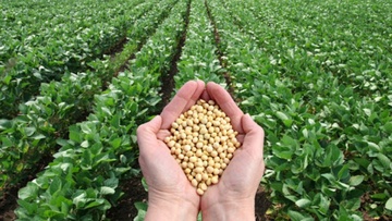 ΣΕΤΚΕ: Η αγροτική ανάπτυξη στο επίκεντρο της τουριστικής πολιτικής