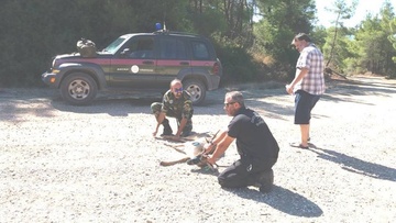 Ρόδος: Στο φυσικό του περιβάλλον  επέστρεψε  το τραυματισμένο ελαφάκι