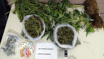 Συνελήφθη νεαρός Ροδίτης με 2,2 κιλά ινδική κάνναβη και "χασισόδεντρα" στην αυλή του