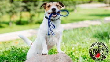 Περίπατος τετράποδης αγάπης στη Φιλέρημο