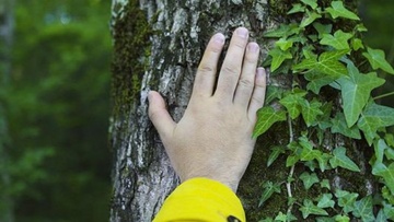 Έρευνα της Greenpeace στην Ελλάδα: Τι λένε οι πολίτες για το περιβάλλον